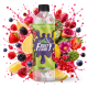CITRON CACTUS FRUITS ROUGES - 1 LITRE - FRUITY COOL