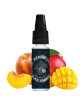 MEDUSA - BLACK SUMMER - 10ML TPD READY BE/FR Par 10