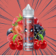 SPIDER 50ML - CATVENGERS