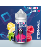 SQUID JUICE - TRIANGLE - 100ML